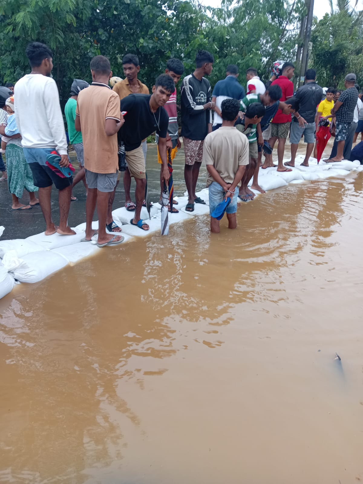  2024-06-04 at වල කටට ගස බමම ශකතමත කරම  2